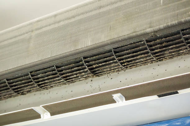Best Dryer Vent Cleaning Services  in Ashland, OH